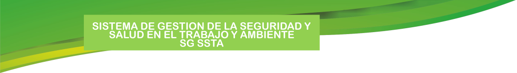 sistema de gestion